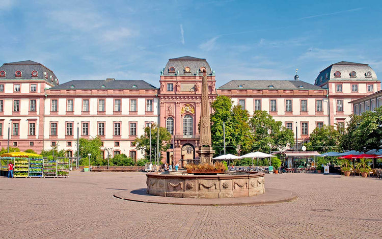Kreistagswahl Darmstadt-Dieburg